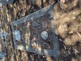 image of grave number 968523